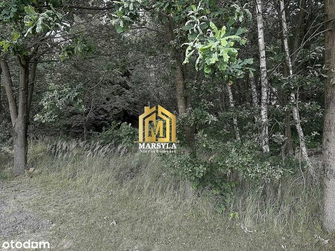 Działka z projektem domu.