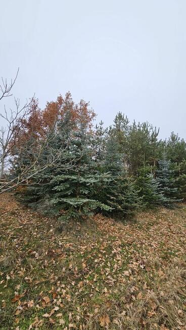 Działka 21.900,00 m2