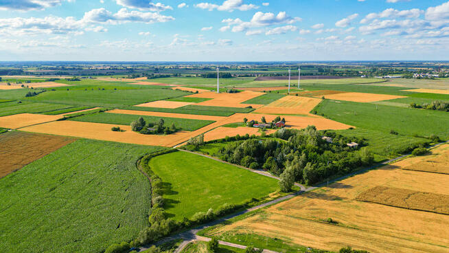 Działka 1,27 ha Wola Miedniewska 4 km od CPK, 3 km A2