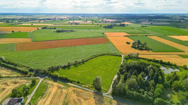 Działka 1,27 ha Wola Miedniewska 4 km od CPK, 3 km A2