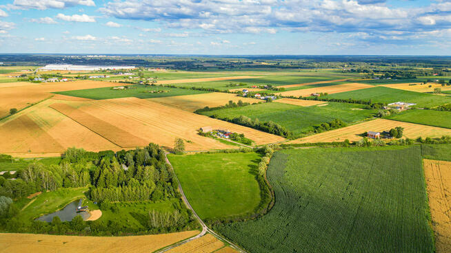 Działka 1,27 ha Wola Miedniewska 4 km od CPK, 3 km A2