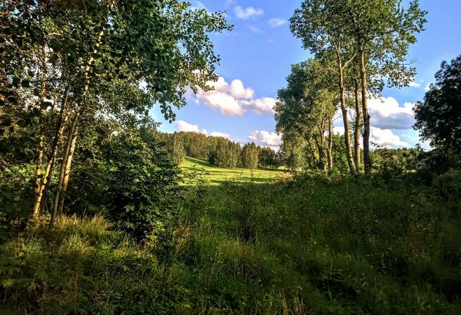 Działka z dostępem do jeziora, Mragowo, pod dom jednorodzinn