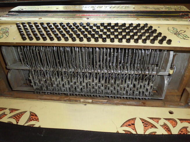 harmonia 3 rzędowa akordeon concertino 120 basów