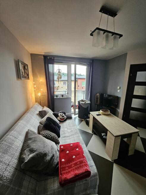 Mieszkanie do wynajęcia.