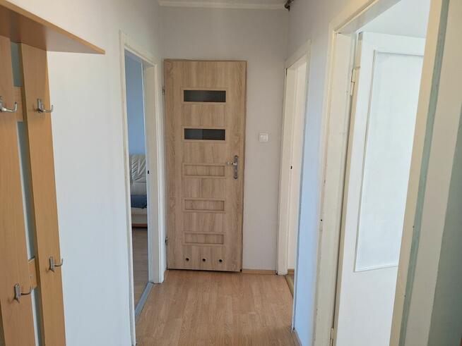 Sprzedam mieszkanie 2 pokojowe z dużym balkonem w Drezdenku