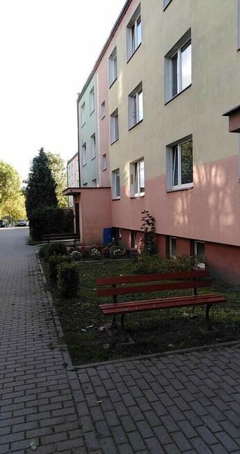 Mieszkanie do wynajmu