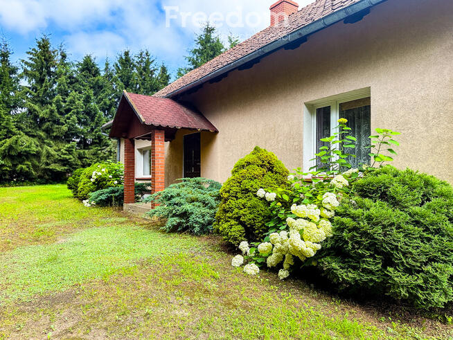 Na sprzedaż piękne siedlisko w malowniczej okolicy