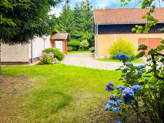 Na sprzedaż piękne siedlisko w malowniczej okolicy