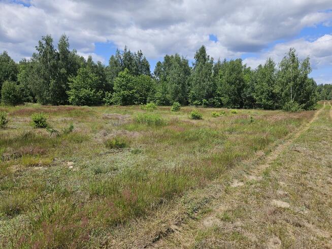 Działka budowlana Stare Wrońska gm. Załuski,