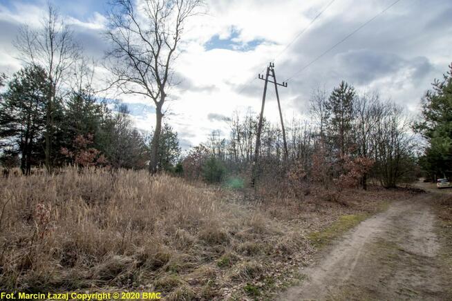 Działka budowlana Zawisna gm. Kamienica Polska,