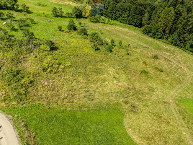 69ar za 300 000? tak to możliwe !