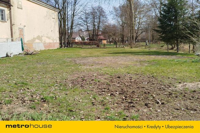 Teren do wynajęcia na sezon letni