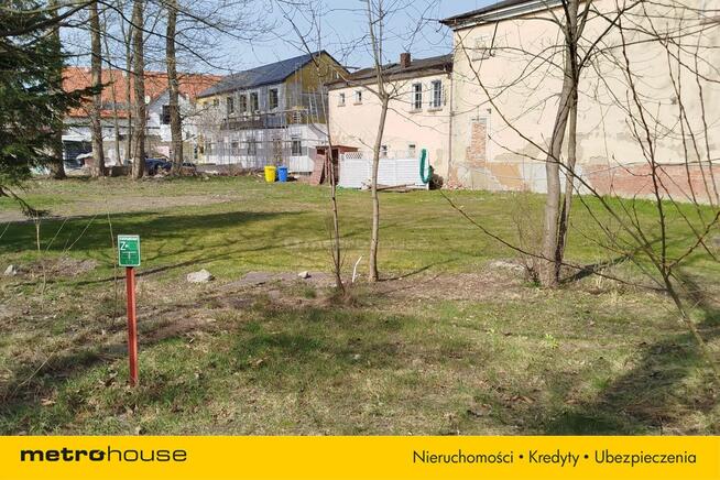 Teren do wynajęcia na sezon letni