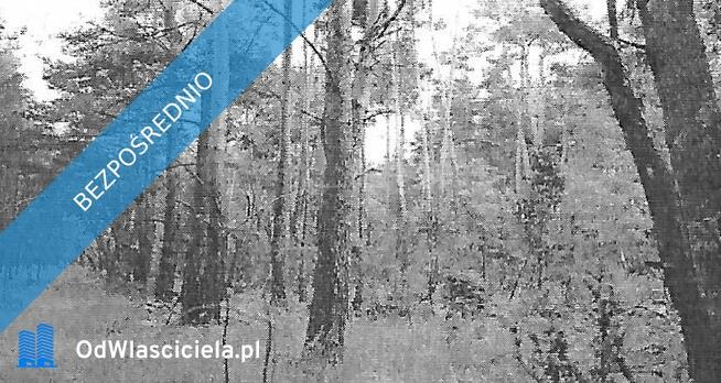 Sprzedam działki - Działoszyn, Wierzchlas, w gm. Działoszyn