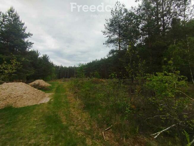 Działka Rolno-leśna w Celinowie