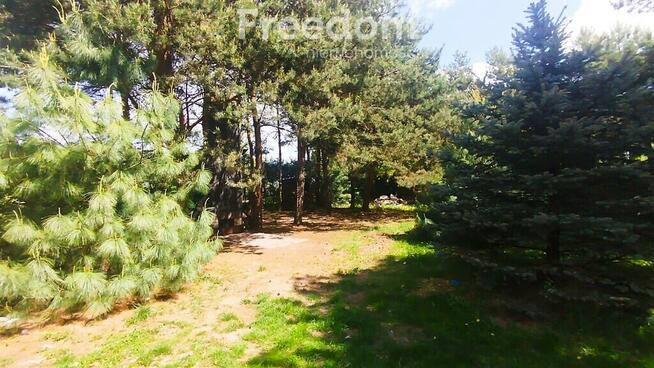 Działka z domkiem Holenderskim - okazja