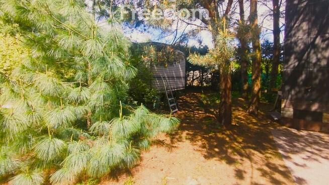 Działka z domkiem Holenderskim - okazja