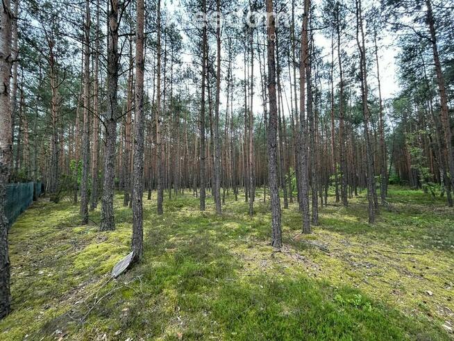 Działka pod zabudowę mieszkaniową leśny zakątek
