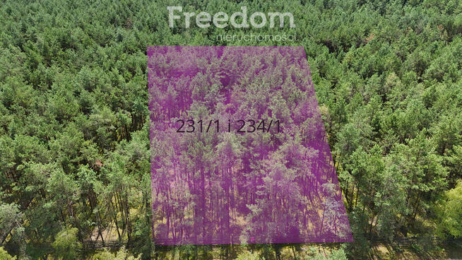 Działka pod zabudowę mieszkaniową leśny zakątek