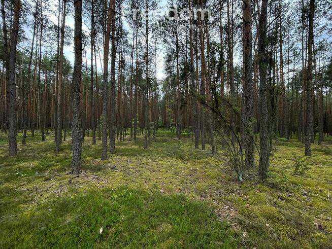 Działka pod zabudowę mieszkaniową leśny zakątek