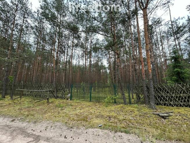 Działka pod zabudowę mieszkaniową leśny zakątek