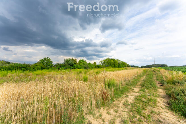 Duża działka w Bogatkach