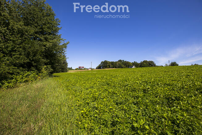 Działka 49 ar pod siedlisko, prąd i gaz na miejscu