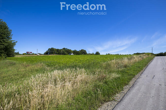 Działka 49 ar pod siedlisko, prąd i gaz na miejscu