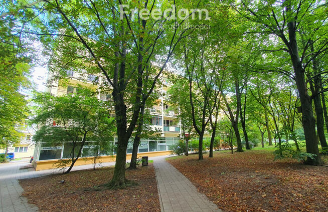 Mieszkanie do remontu z widokiem na park!