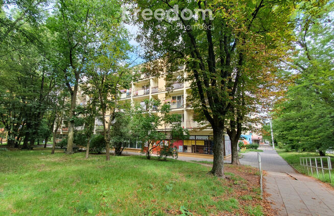 Mieszkanie do remontu z widokiem na park!