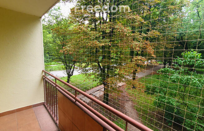 Mieszkanie do remontu z widokiem na park!