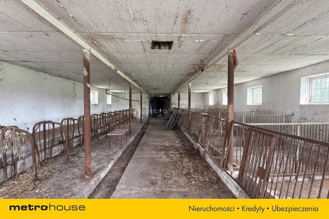 9,8 ha ziemi rolnej wraz z siedliskiem, Lubików