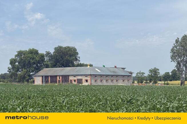 9,8 ha ziemi rolnej wraz z siedliskiem, Lubików