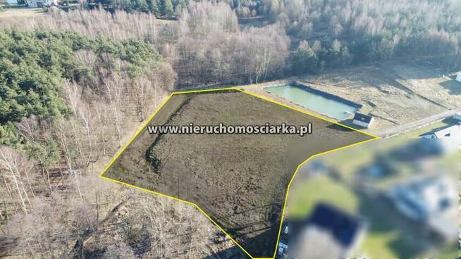 Działka usługowa Wodzisław Śląski