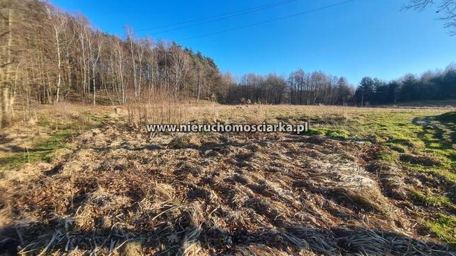 Działka usługowa Wodzisław Śląski