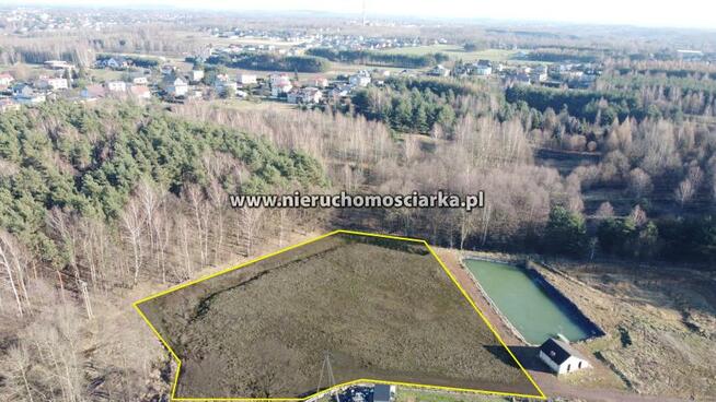 Działka usługowa Wodzisław Śląski