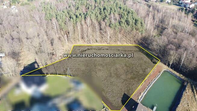 Działka usługowa Wodzisław Śląski