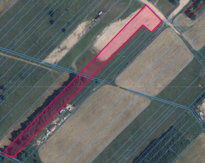 Działka 6000 m² – Żabokliki