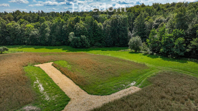 Działki budowlane przy lesie
