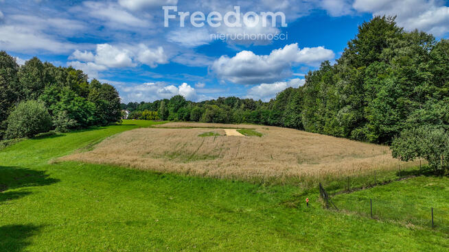 Działki budowlane przy lesie
