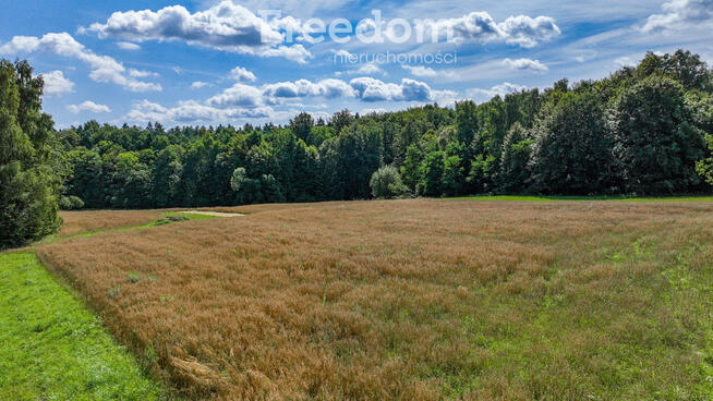 Działki budowlane przy lesie