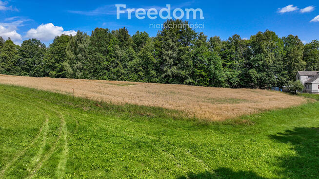 Działki budowlane przy lesie