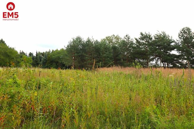 Działka budowlana Białorogi gm. Jeleniewo