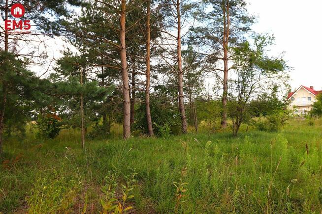 Działka budowlana Białorogi gm. Jeleniewo