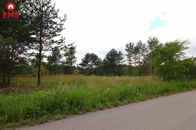 Działka budowlana Białorogi gm. Jeleniewo