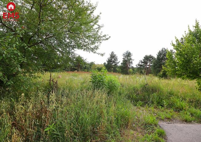 Działka budowlana Białorogi gm. Jeleniewo