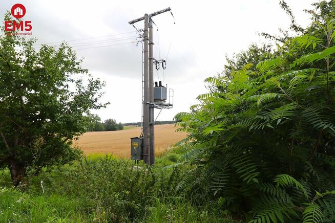 Działka budowlana Białorogi gm. Jeleniewo
