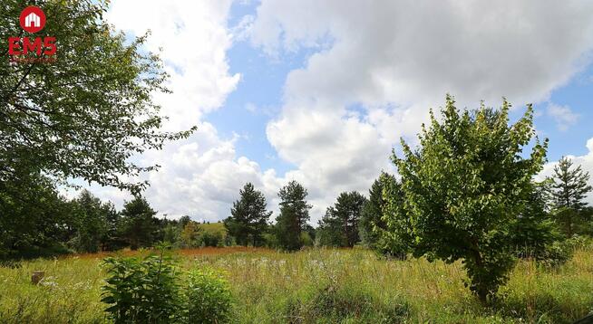 Działka budowlana Białorogi gm. Jeleniewo