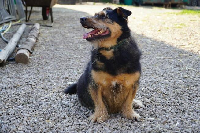 Bąbel - jedno oczko, milion powodów do miłości!