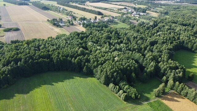 OFERTA SPRZEDAŻY GRUNTU – JÓZEFOWO, GMINA SŁUPCA, POWIAT SŁU